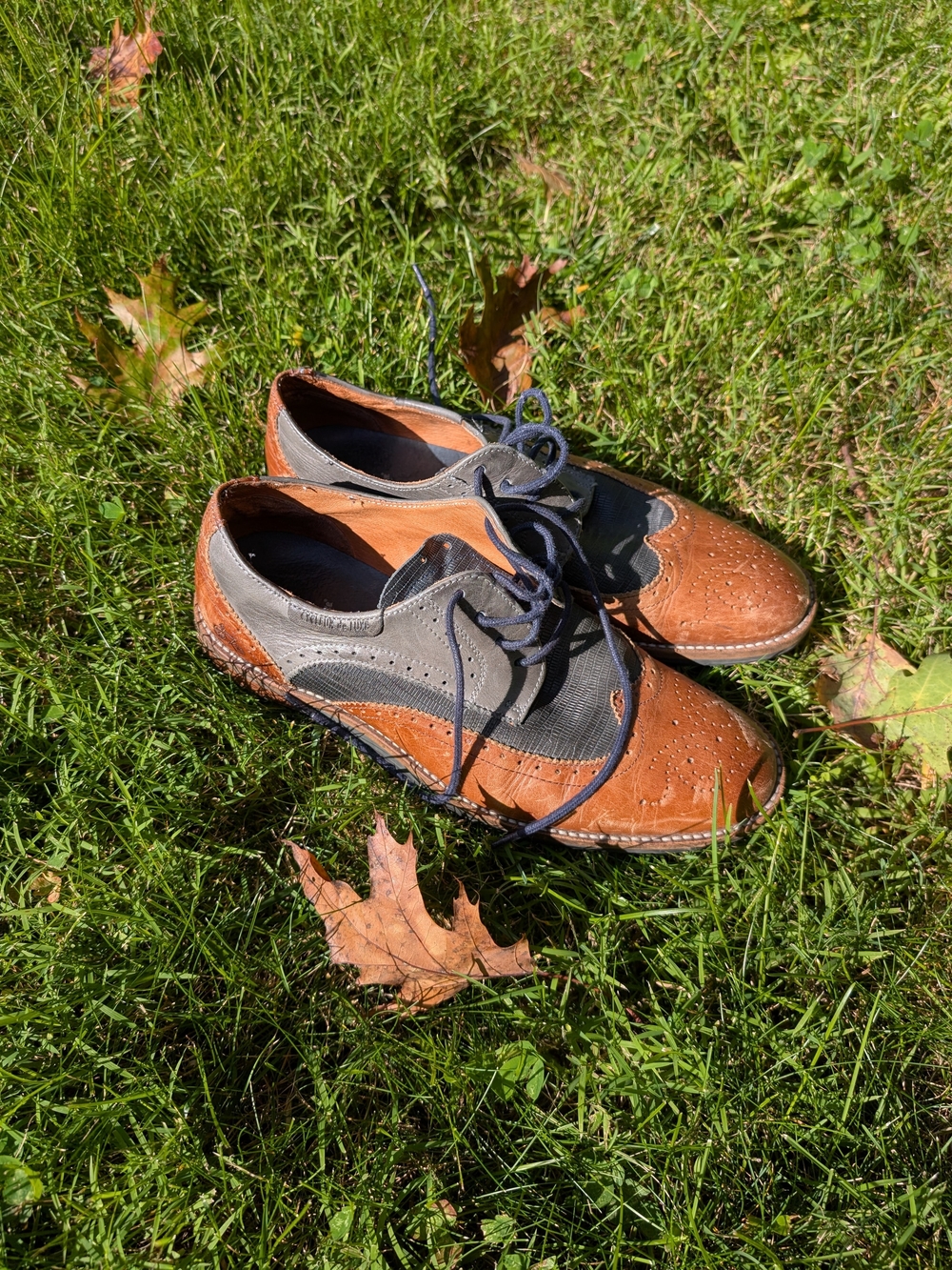 Cycleur De Luxe Men's Two-Tone Wingtip Oxford Leather Shoes - Brown & Gray